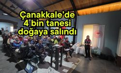 Çanakkale’de 4 bin tanesi doğaya salındı