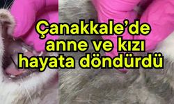 Çanakkale’de anne ve kızı hayata döndürdü (Video)