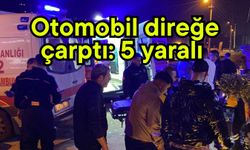 Otomobil direğe çarptı: 5 yaralı