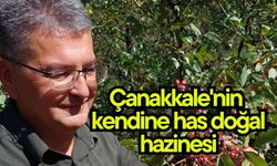 Çanakkale'nin kendine has doğal hazinesi