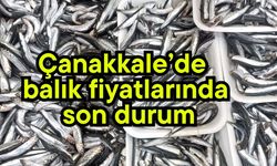 Çanakkale'de balık fiyatlarında son durum