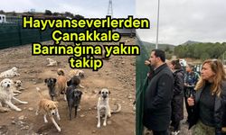 Hayvanseverlerden Çanakkale Barınağına yakın takip