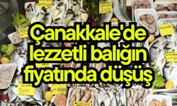 Çanakkale'de lezzetli balığın fiyatında düşüş
