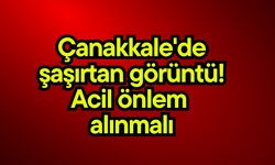 Çanakkale'de şaşırtan görüntü! Acil önlem alınmalı