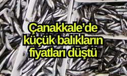 Çanakkale’de küçük balıkların fiyatları düştü