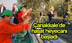 Çanakkale’de hasat heyecanı başladı