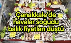 Çanakkale'de havalar soğudu balık fiyatları düştü