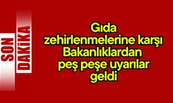 Gıda zehirlenmelerine karşı Bakanlıklardan peş peşe uyarılar geldi