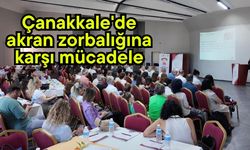 Çanakkale'de akran zorbalığına karşı mücadele (Video)