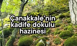 Çanakkale’nin kadife dokulu hazinesi