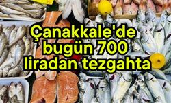 Çanakkale'de bugün 700 liradan tezgahta