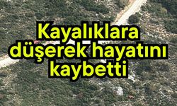 Kayalıklara düşerek hayatını kaybetti