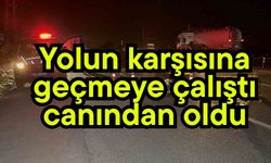 Yolun karşısına geçmeye çalıştı canından oldu