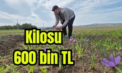 Bu baharatın kilosu 600 bin TL