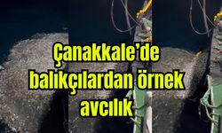 Çanakkale'de balıkçılardan örnek avcılık