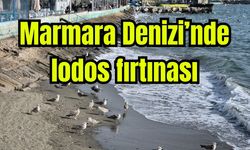 Marmara Denizi'nde lodos fırtınası balıkçıları limana döndürdü (Video)