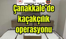 Çanakkale’de kaçakçılık operasyonu