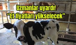 Uzmanlar uyardı! Et fiyatları yükselecek