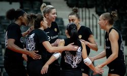 Eczacıbaşı Dynavit, Şampiyonlar Ligi sahnesinde