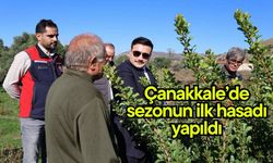 Çanakkale’de sezonun ilk hasadı yapıldı