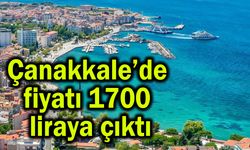 Çanakkale’de fiyatı 1700 liraya çıktı