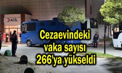 Cezaevindeki vaka sayısı 266'ya yükseldi (Video)