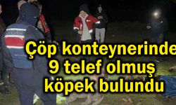 Çöp konteynerinde 9 telef olmuş köpek bulundu