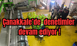 Çanakkale’de üretim tesislerine denetimler devam ediyor