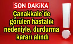 Çanakkale’de görülen hastalık nedeniyle durdurma kararı