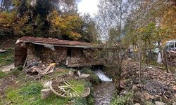 300 yıllık su değirmeni hala çarklarını döndürüyor