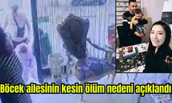 Böcek ailesinin kesin ölüm nedeni açıklandı