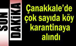 Çanakkale’de çok sayıda köy karantinaya alındı
