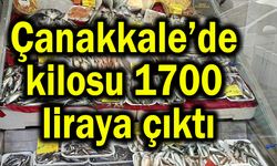 Çanakkale’de kilosu 1700 liraya çıktı