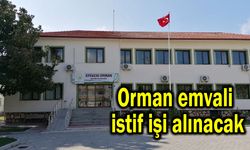 Orman emvali istif işi alınacak