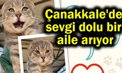 Çanakkale'de sevgi dolu bir aile arıyor