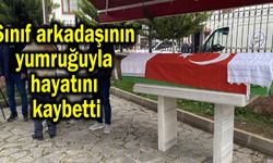 Sınıf arkadaşının yumruğuyla hayatını kaybetti