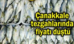 Çanakkale tezgahlarında fiyatı düştü