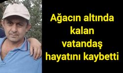 Ağacın altında kalan vatandaş hayatını kaybetti