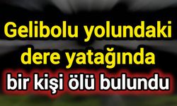Gelibolu yolundaki dere yatağında bir kişi ölü bulundu