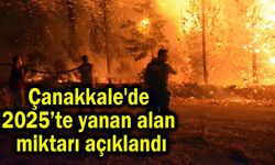 Çanakkale'de 2025'te yanan alan miktarı açıklandı (Video)