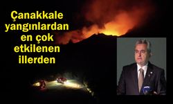 Çanakkale yangınlardan en çok etkilenen illerden (Video)