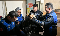 Hijyen kurallarına uymayan işletme mühürlendi