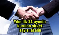 Yılın ilk 11 ayında kurulan şirket sayısı azaldı