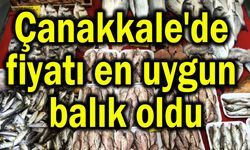 Çanakkale'de fiyatı en uygun balık oldu