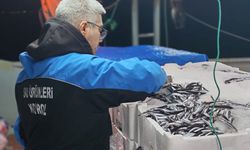 Çanakkale'de 45 kilo balığa el konuldu