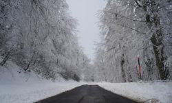 Kış turizminin gözdesi Kartepe'de kar sevinci (Video)