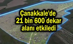Çanakkale'de 21 bin 600 dekar alanı etkiledi