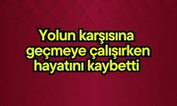 Yolun karşısına geçmeye çalışırken hayatını kaybetti