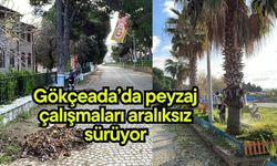 Gökçeada’da peyzaj çalışmaları aralıksız sürüyor