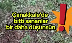 Çanakkale'de bitti sananlar bir daha düşünsün!